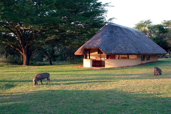 Bonamanzi Game Reserve | A Rustic Group Stay for Up to 28 People (Copy)