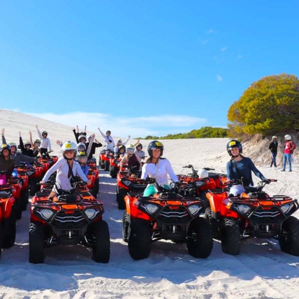 Wild X | Quad bike dune adventure for 1