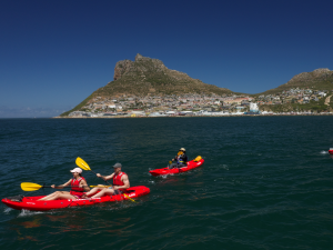 Animal Ocean Expeditions | Experience A 2-Hour Guided Kayak Ocean Tour for 2