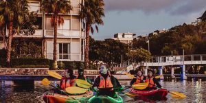 Experience the Magic of Night Kayaking in Cape Town Waterfront