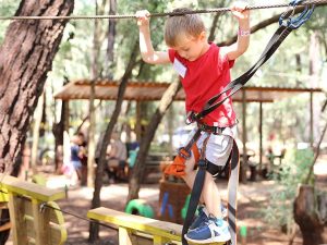 Acrobranch | 2 hr Full Access To All The Treetop Adventures Of The Park  For 1