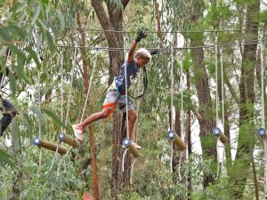 Acrobranch | 2 hr Full Access To All The Treetop Adventures Of The Park  For 1