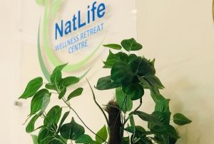 Natlife Wellness Retreat Centre | Detox Renewal Package Incl A Light Healthy Meal for 2