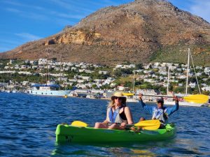 Kayak Adventures Simons Town | 2 hour Kayak With Penguins For 1