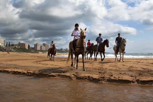 fun activities in durban for adults