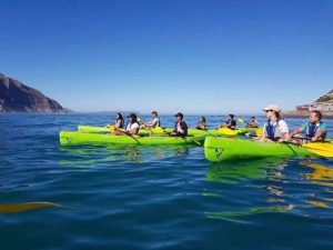 Kayak Adventures Simons Town | 2 hour Kayak With Penguins For 1