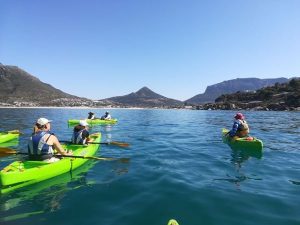 Kayak Adventures Simons Town | 2 hour Kayak With Penguins For 1