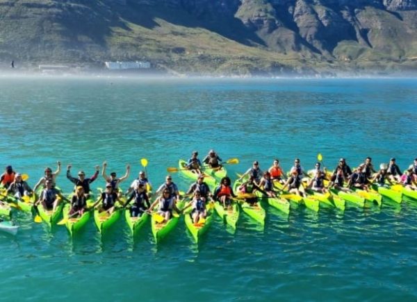 Kayak Adventures Simons Town | 2 hour Kayak With Penguins For 1