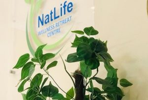 Natlife Wellness Retreat Centre | Winter Warmth Hot Oil and Stone Revival Package For 1 Incl Lunch