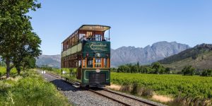 Things To Do in Franschhoek