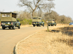 Tours & Tickets | Kruger National Park Half Day Game Drive