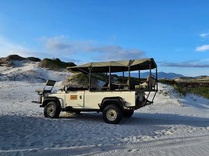 Walker Bay Dunes Lodge | 2 Nights Stay for Two Overlooking The Bay And Whale Watching