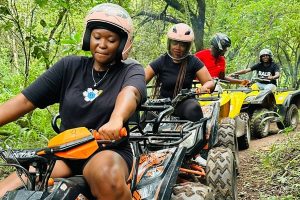 KM Tours | Kruger Park Half Day Game Drive & Quad Biking For 1