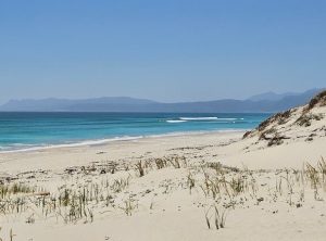 Walker Bay Dunes Lodge | 2 Nights Stay for Two Overlooking The Bay And Whale Watching