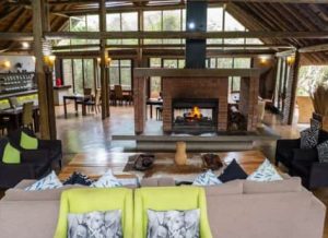 Royal Thonga Safari Lodge | Escape To The Wild Package For 2 Incl All Meals and Game Drive