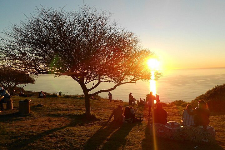 sunset bus tour