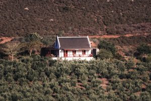 Orange Grove Farm | Take A Romantic Relaxing Getaway To The Moseberg Cottage