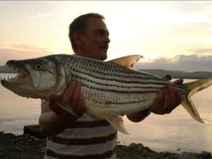 Tiger Hunters Tours and Safaris | One For The Boys, Extreme Tiger Fishing At Its Best incl Accommodation, Boat and Guide