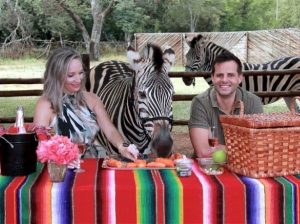 Zebra Safaris | Champagne Breakfast With Zebras For 1