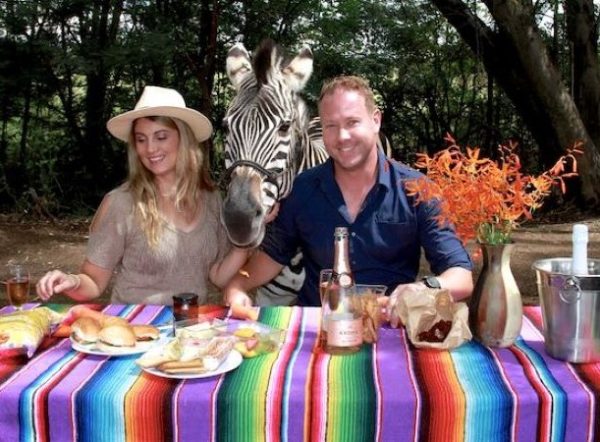 Zebra Safaris | Champagne Breakfast With Zebras For 1