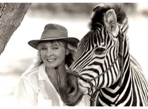 Zebra Safaris | Champagne Breakfast With Zebras For 1