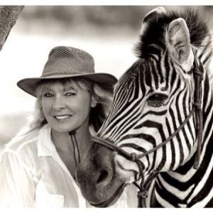 Zebra Safaris | Champagne Breakfast With Zebras For 1