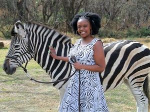 Zebra Safaris | Champagne Breakfast With Zebras For 1