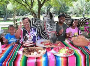 Zebra Safaris | Champagne Breakfast With Zebras For 1