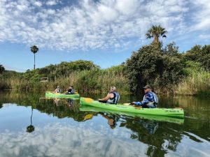 Kayak Adventures Century City | Guided 2 Hour Kayak Adventure For 1