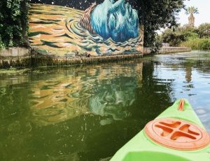 Kayak Adventures Century City | Guided 2 Hour Kayak Adventure For 1