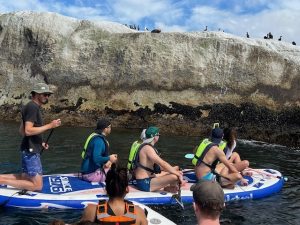 TK Promotions | 90 Min Penguin Giant Paddle Board Experience with a Guide for 4 People