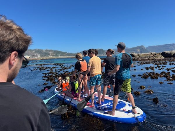 TK Promotions | 90 Min Penguin Giant Paddle Board Experience with a Guide for 4 People