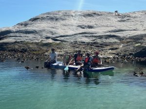 TK Promotions | 90 Min Penguin Giant Paddle Board Experience with a Guide for 4 People