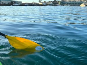 Kayak Adventures Mossel Bay | A 2 Hour Guided Kayak Adventure For 1