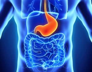 Natlife Wellness Retreat Centre | Colon Hydrotherapy Incl Magnesium Drink on Arrival For 1