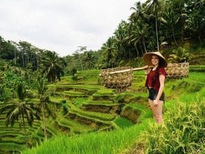 Travel Creationz | 7 Nights in Bali at the Ibis Styles Bali Legian 4-Star Hotel for 2 Incl A Tour and Breakfasts