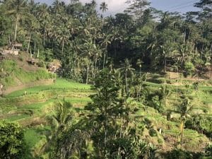 Travel Creationz | 7 Nights in Bali at the Ibis Styles Bali Legian 4-Star Hotel for 2 Incl A Tour and Breakfasts