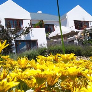 Farr Out Guesthouse | 1-Night Stay for Two in Black Mussel or White Mussel room