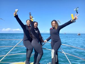 Sharklady Adventures | A 3 Hour Thrilling Shark Cage Adventure for 1