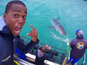 Sharklady Adventures | A 3 Hour Thrilling Shark Cage Adventure for 1