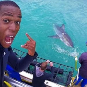 Sharklady Adventures | A 3 Hour Thrilling Shark Cage Adventure for 1