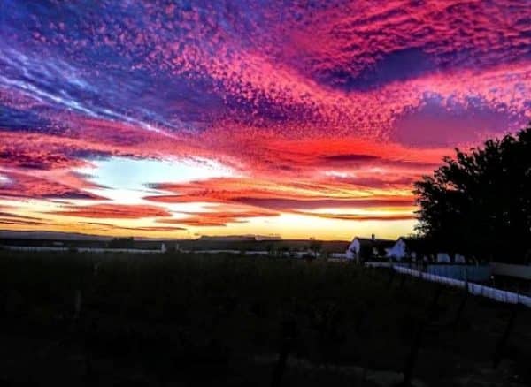 Karoo 1 Hotel Village | 2 Nights for 2 in your Choice of Deluxe, Mountain View or Courtyard Room
