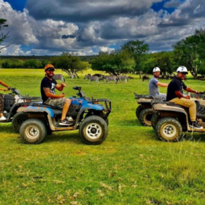 Adventure Zone | Group Adrenaline Rush With Quad Biking and Air Rifle for 4 People