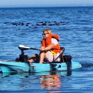 E-Kayaking Adventures | A 2 Hr E-Kayaking Experience for 2 in Sea Point