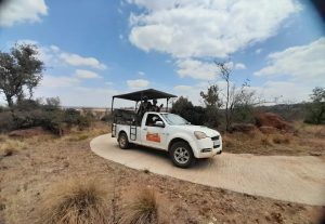 Adventure Zone | Experience Life at its Best with A Game Drive, Archery or Air Rifle For 4