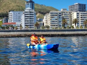 E-Kayaking Adventures | A 2 Hr E-Kayaking Experience for 2 in Sea Point