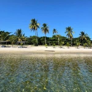 Boa Vista Resort | Mid-Week Madness, 3 Nights’s Stay for 4 People at Boa Vista Resort