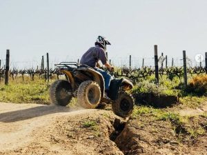 Makulu Adventures - Morgenhof | Ride the Mountain and Savour Wine, Quad Bike for 2 and A Btl of Morgenhof Wine