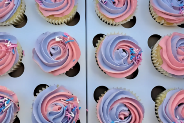 Honeybee Baker | 12 Cupcake Cakes on Order for Any Occasion, Colours at Your Own Choice