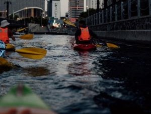 Kayak Adventures Cape Town | A 1 hour Guided Sunset & Night Kayaking Experience For 4 - Limited Offer